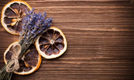 Unleashing the Power of Aromatherapy: Elevating Your Digital Experience